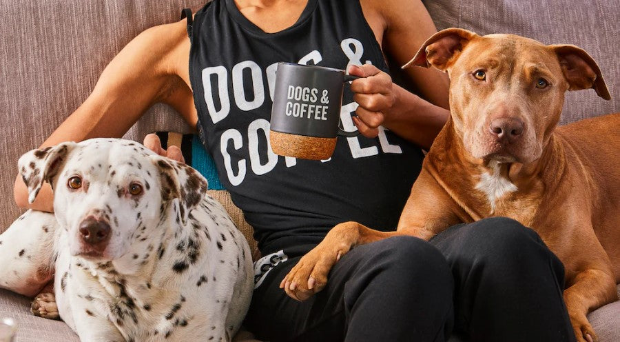 Grounds & Hounds Coffee Co. Sit & Stay Organic Medium Röstende Bohne 34 g