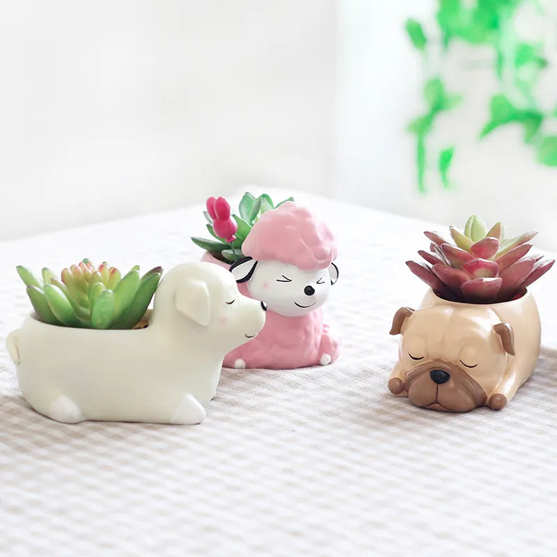 Adorable Tiere Mini Sukkulenten Bonsai Cactus Pflanzer Töpfe