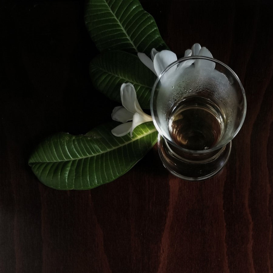 Rishi Tea Jasmin Bio Grüner Tee 15 Sachets