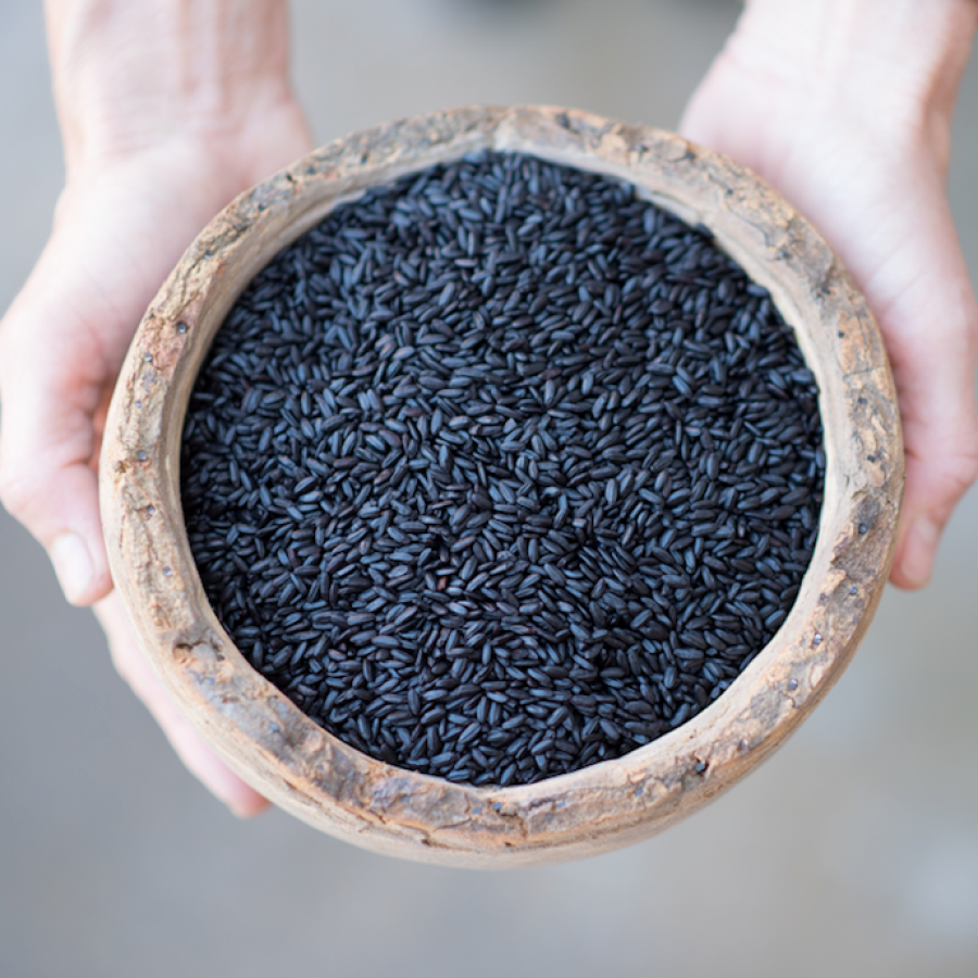 Lotus Foods Nicht-GVO-Erbstück Verbotener Schwarzreis 425 g