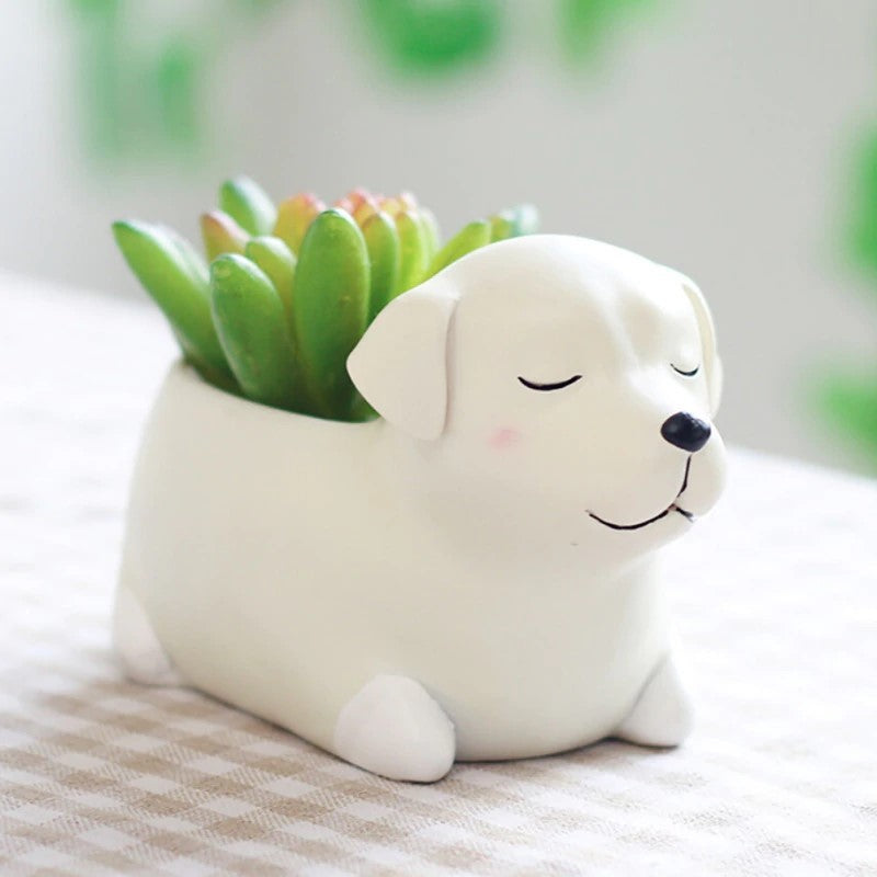 Adorable Tiere Mini Sukkulenten Bonsai Cactus Pflanzer Töpfe