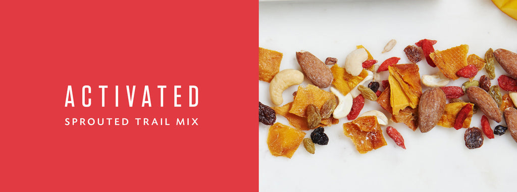 Lebende Absichten Aktiviert Sprouted Trail Mix Spicy Mango 198 g