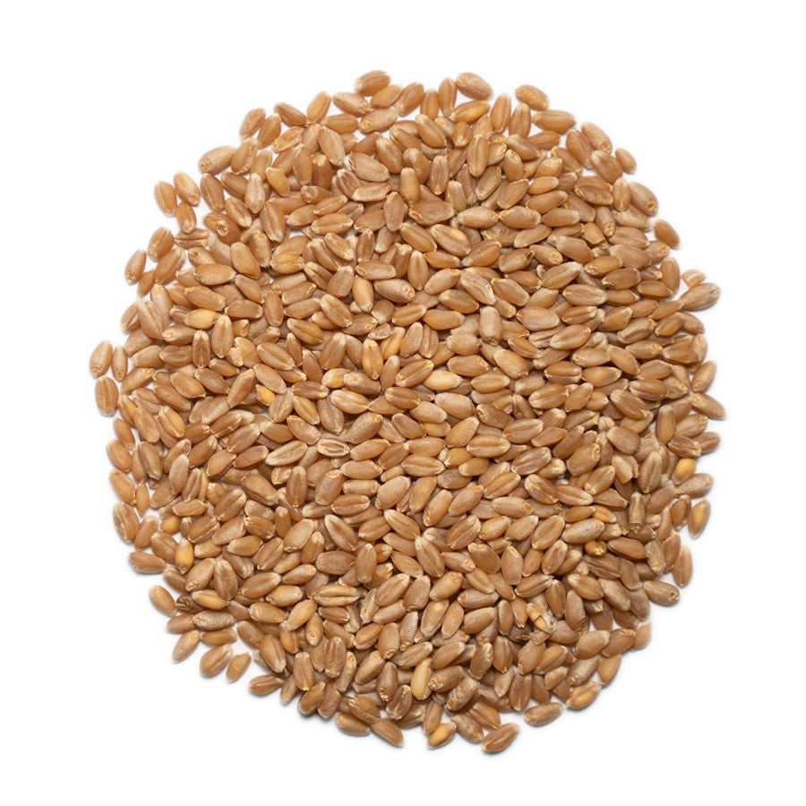 1000 Springs Mill Organic Hard Rot Spring Weizen Beeren 454 g