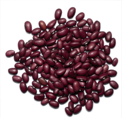 1000 Springs Mill Organic Rot Beans 454 g