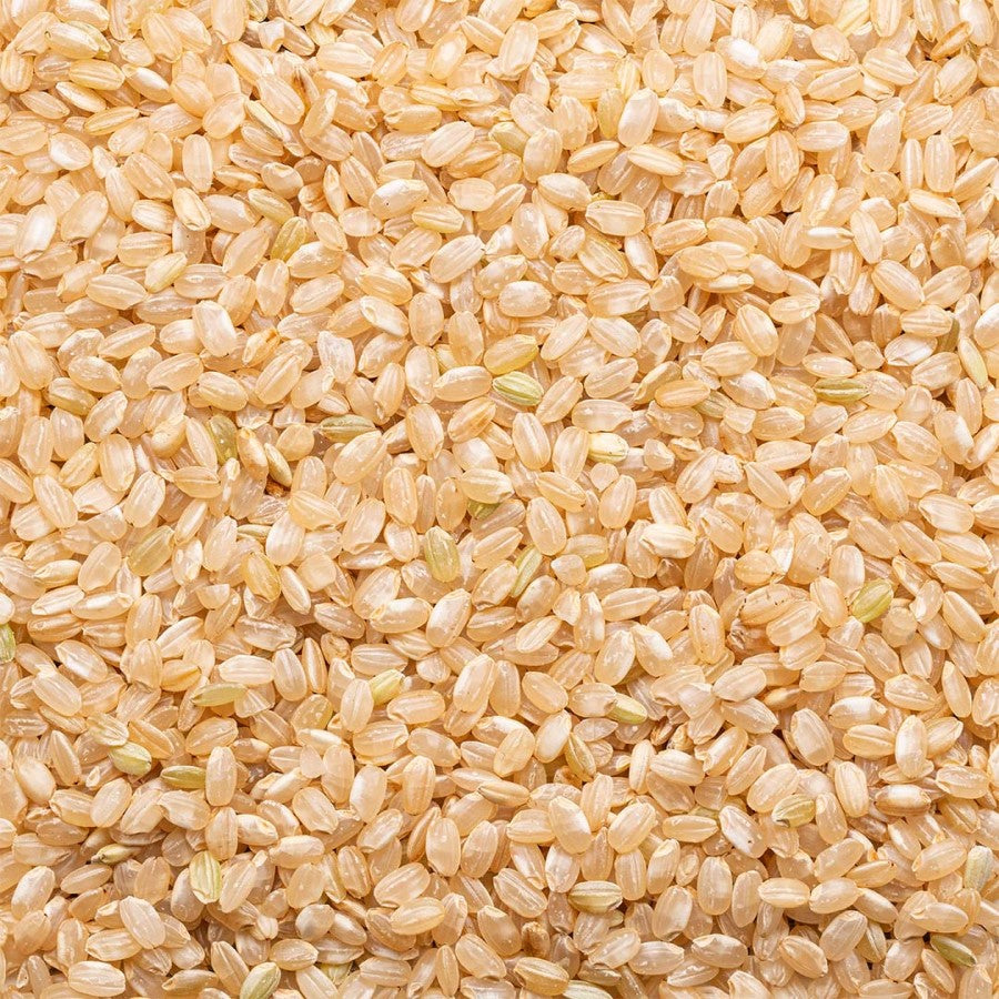 Lundberg Family Farms Organic Sprouted Braun Shorts Grain Rice 454 g