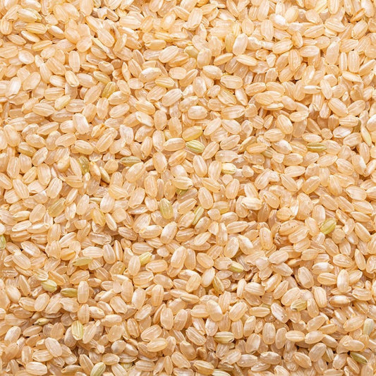 Lundberg Family Farms Organic Sprouted Braun Shorts Grain Rice 454 g