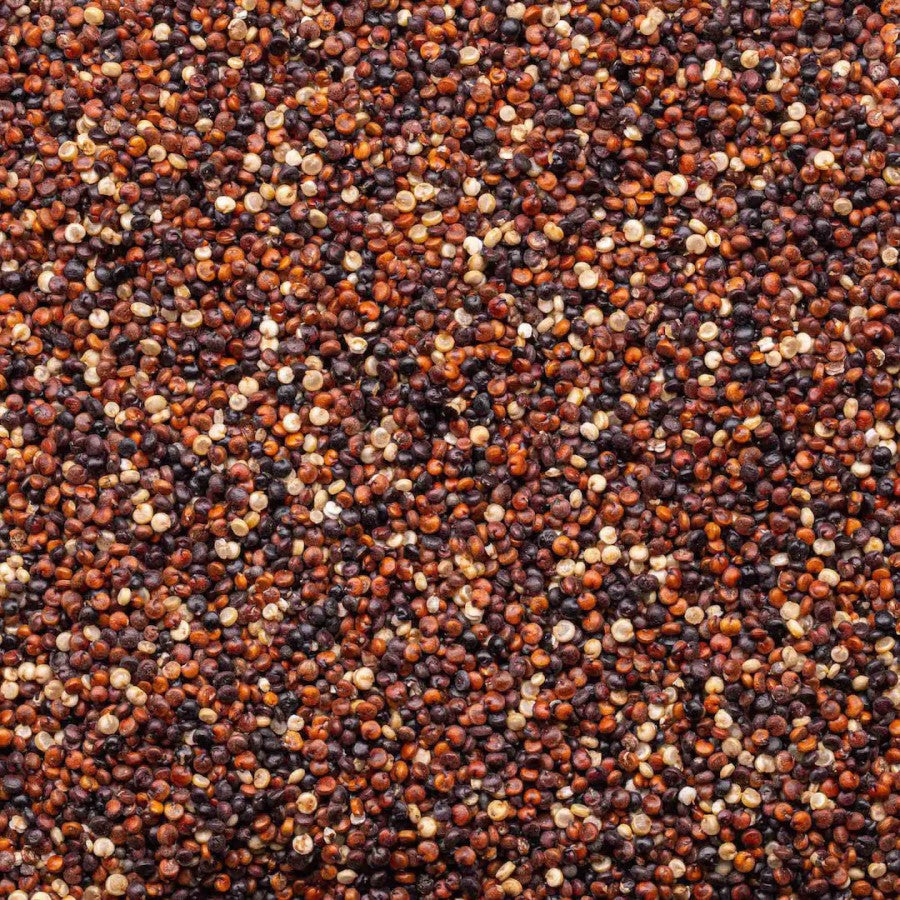 Lundberg Family Farms Organic Tri-Color Blend Quinoa 454 g