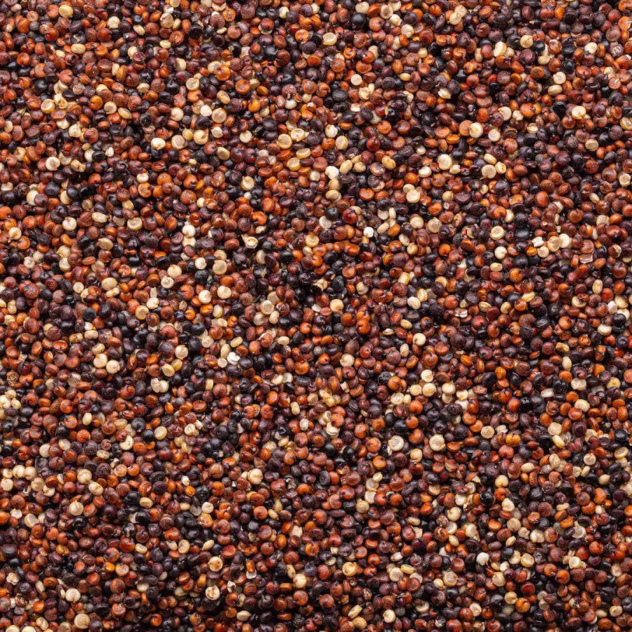 Lundberg Family Farms Organic Tri-Color Blend Quinoa 454 g