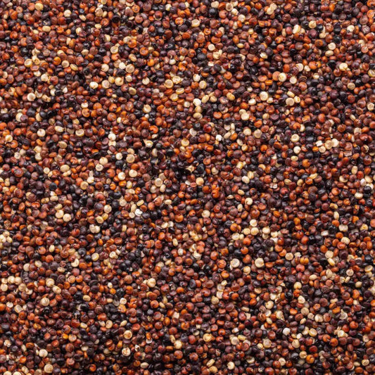 Lundberg Family Farms Organic Tri-Color Blend Quinoa 454 g