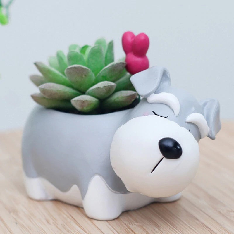Adorable Tiere Mini Sukkulenten Bonsai Cactus Pflanzer Töpfe