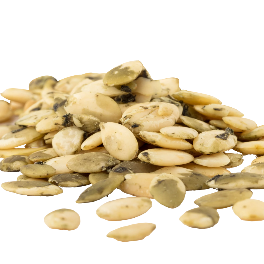 Go Raw Sprouted Organic Pumpkin Seeds mit Meersalz
