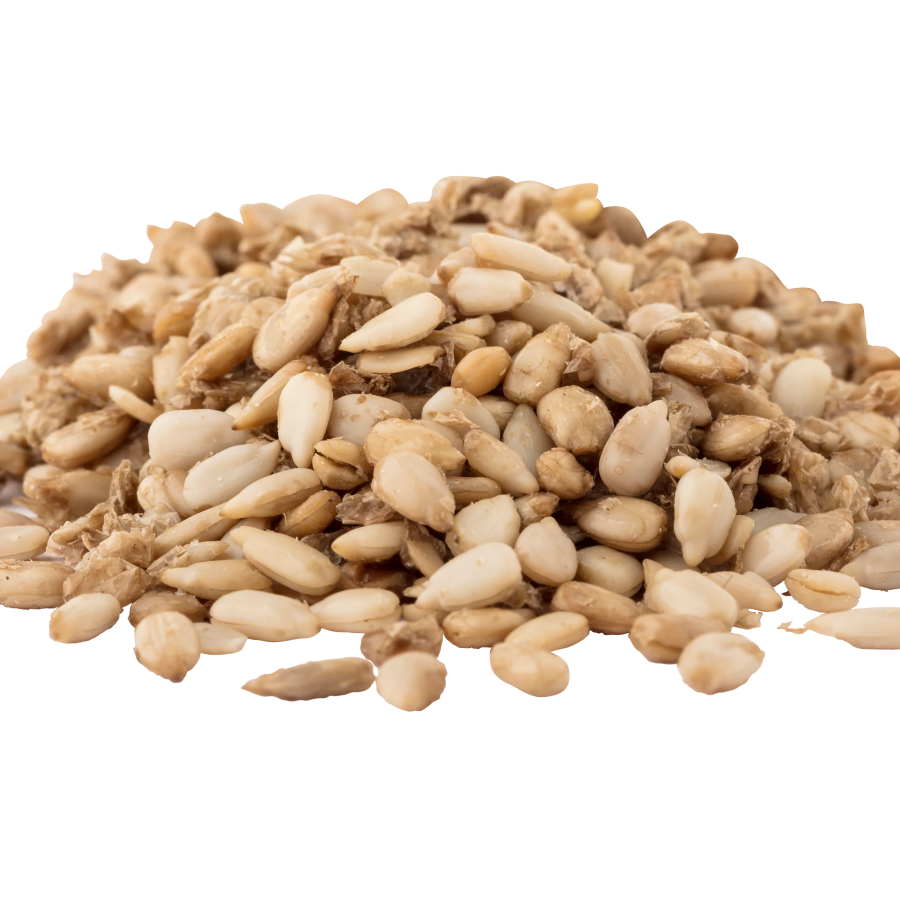 Go Raw Sprouted Organic Sonnenblumensamen mit Meersalz