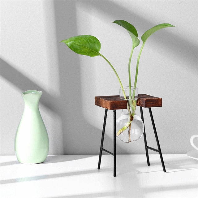 Glas & Holz Hänge Regal Tabletop Vasen