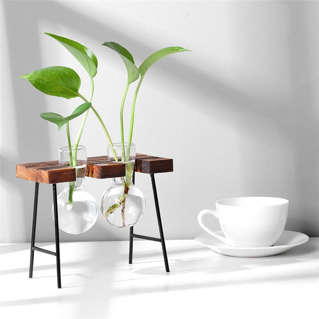 Glas & Holz Hänge Regal Tabletop Vasen